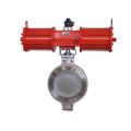 Double Axis Butterfly Valve - Lug Wafer Type With Soft Seat